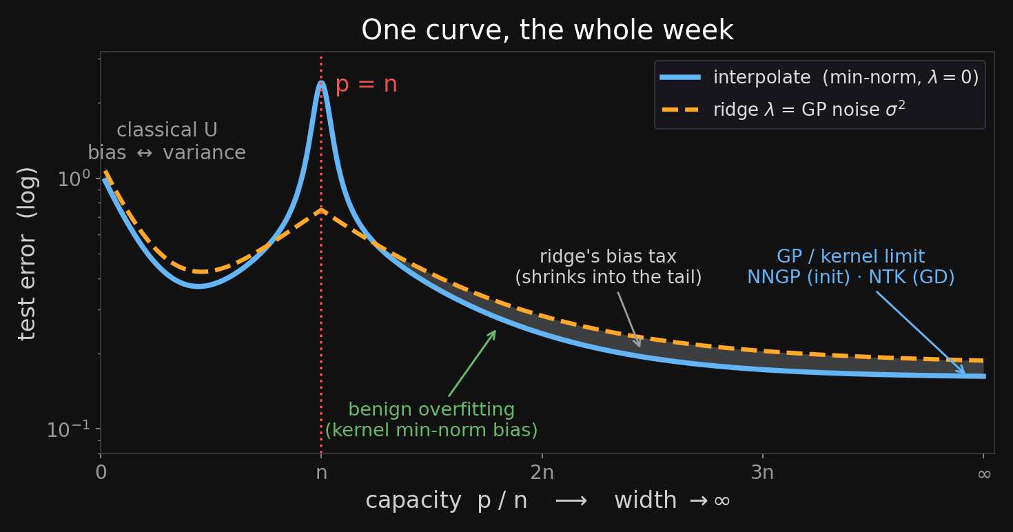 A single test-error-versus-capacity curve titled One curve, the whole week. A blue interpolation curve spikes at p=n; an orange dashed ridge curve with lambda equal to the GP noise sigma-squared passes smoothly through, paying a small bias tax in the tail. Annotations mark the classical U on the left, benign overfitting from the kernel minimum-norm bias, and the Gaussian-process / kernel limit as width goes to infinity on the right.